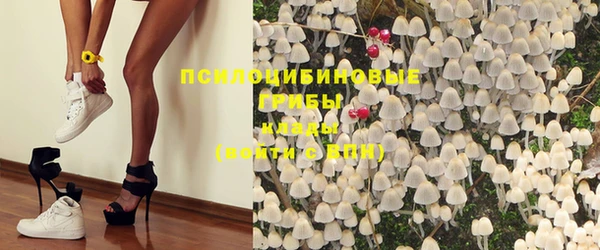 спиды Алексин