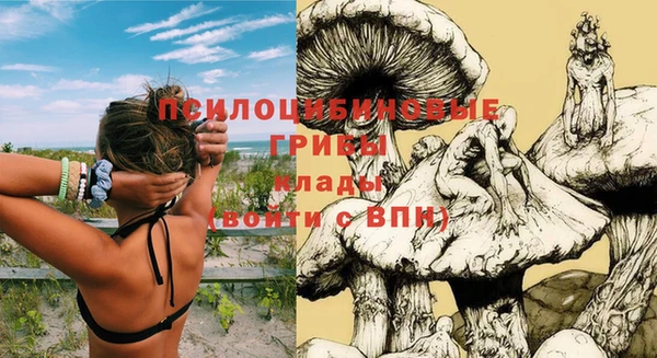 марки lsd Алзамай