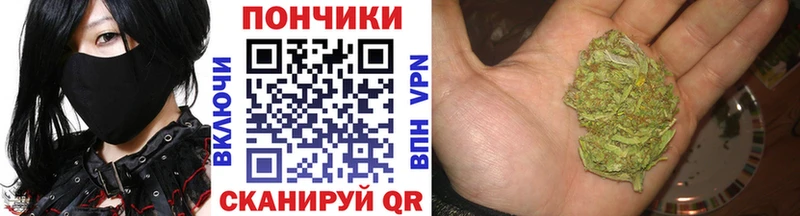 купить закладку  Шадринск  МАРИХУАНА SATIVA & INDICA 